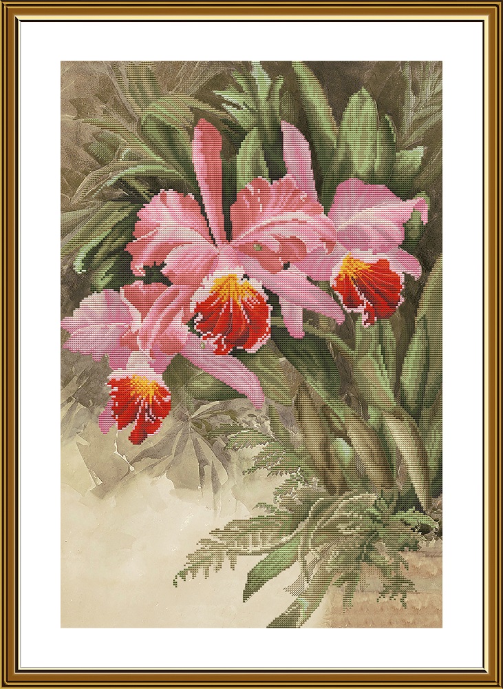 СВ2239 Тропическая орхидея